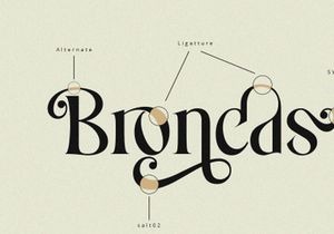Costa Nova || Modern Ligature serif
