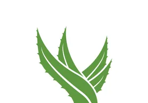 Aloe Vera logo icon design symbol beauty skin care