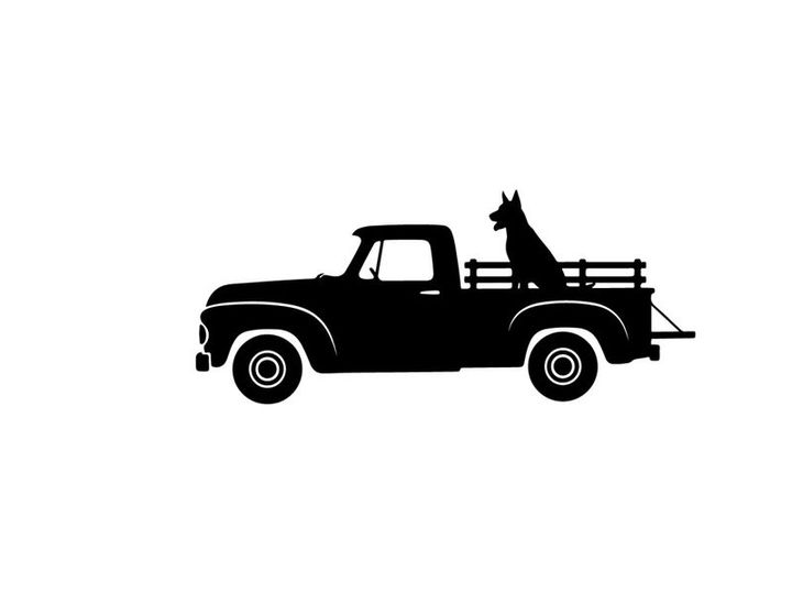 Silhouette of a dog in the back of a vintage pickup truck