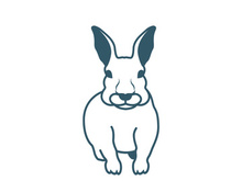Rabbit logo