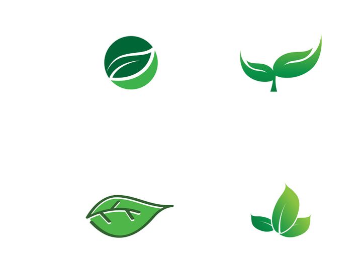 nature leaf logo