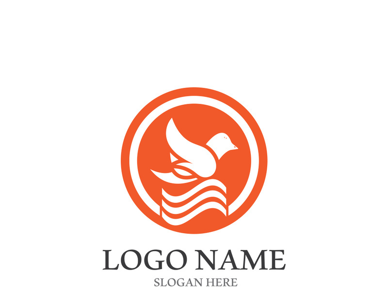 Dove bird logo vector design illustration