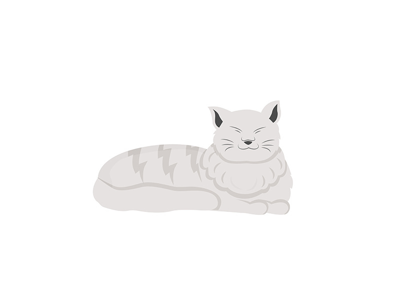 White cat flat color vector character
