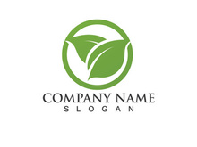 Green leaf logo Vector