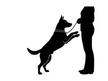 Silhouette of a dog on its hind legs interacting with a person