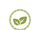 Leaf logo