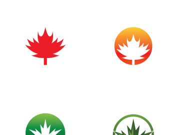 Maple leaf logo design with creative idea preview picture