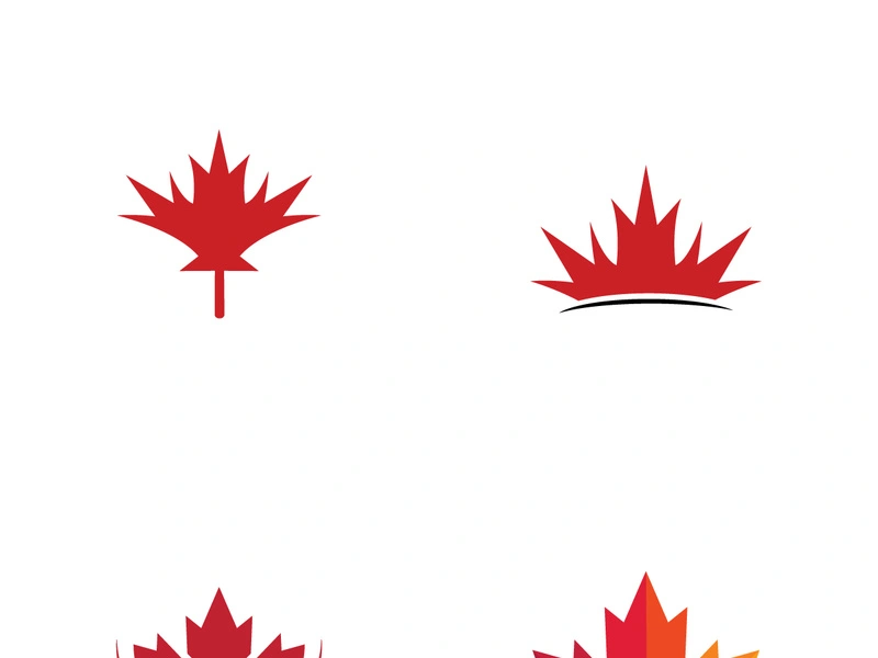 NHL Toronto Maple Leafs Single-Sided Logo Banner Flag, 3' x 5' | Canadian  Tire