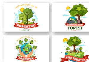 12 International Forest Day Illustration
