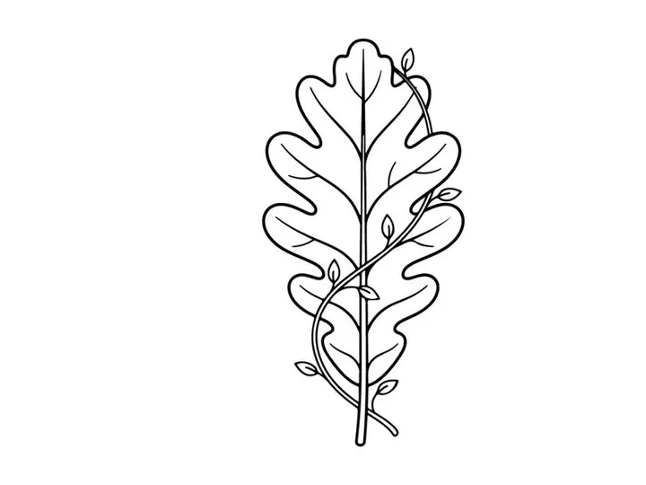 Close-up of a detailed oak leaf with natural textures. Botanical illustration showcasing intricate leaf structure and veins.