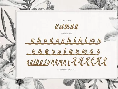 Fardiale | Vintage Script