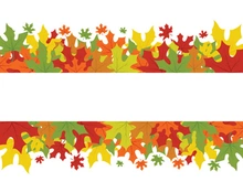 Maple Leaf design illustration