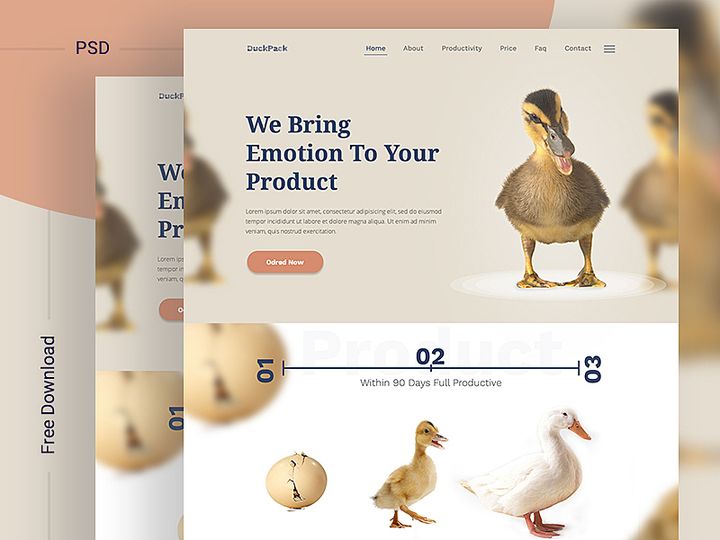 DuckPack Landing Page ll Free Download