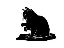 Black cat silhouette sitting on a rug