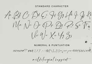 Hamiltone Signature font