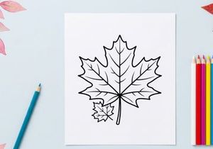 Close-up of a detailed maple leaf. Natural autumn foliage with vibrant colors.