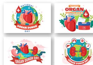 12 National Organ Donor Day Illustration