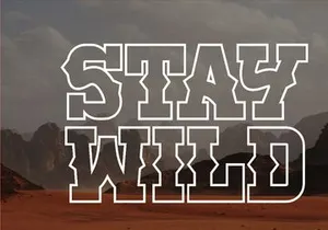 Believe - Vintage Western Slab Serif Font