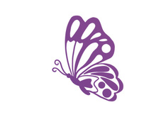 Butterfly, SVG Vector Illustration