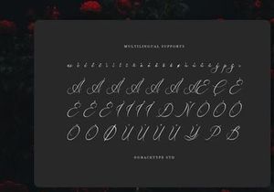 Avilantery | Elegant Calligraphy Script