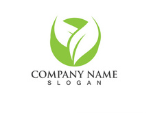 Green leaf logo Vector