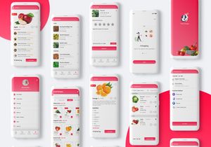 Grocery Delivery App