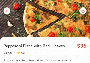 Pizzalious - Pizza Delivery Mobile App UI Kit