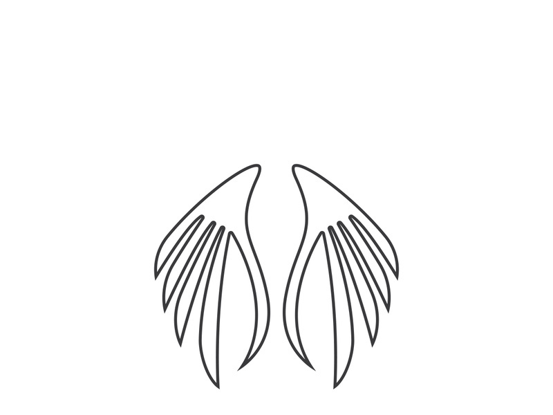 wing Logo Template vector illustration design