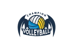 Volleyball Logo, Sport Simple Design, World Sports Tournament Vector
