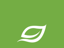 Leaf logo green nature vector image