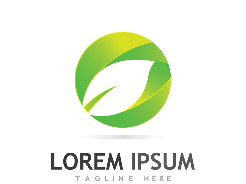 Colorful natural leaf logo design.