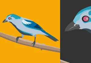 Birds Vector Bundle