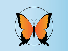 Butterfly logo design