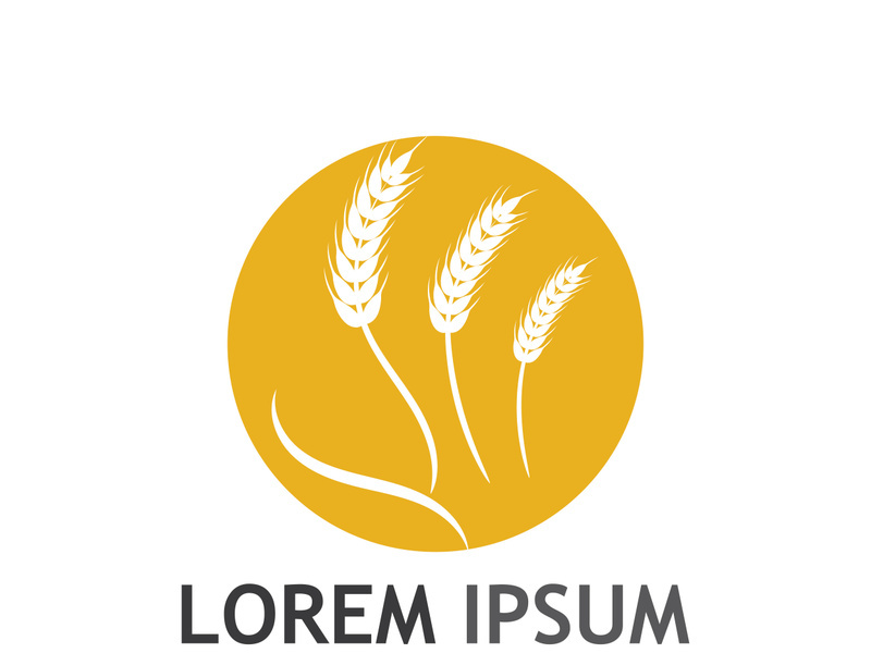 Organic wheat farm logo template.