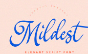 Mildest - Script Font