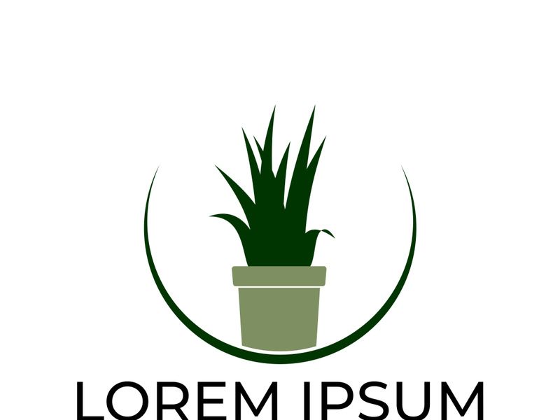 Green leaf logo design vector illustration