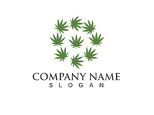 Canabis leaf vector illustration icon