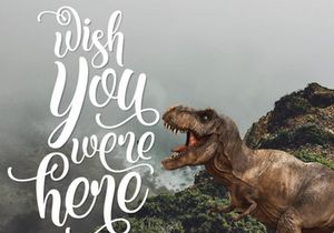 Kite Script Font Free Demo