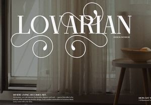 Ronale Classic | Handmade Serif