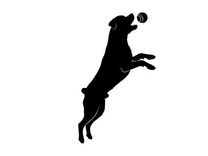 Dog silhouette jumping to catch a ball in mid air silhouette