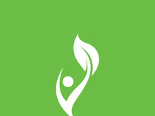 Leaf logo green nature vector image