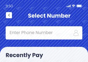 Payment Wallet App Design UI Kit