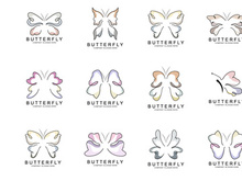 Butterfly Logo Design, Beautiful Flying Animal
