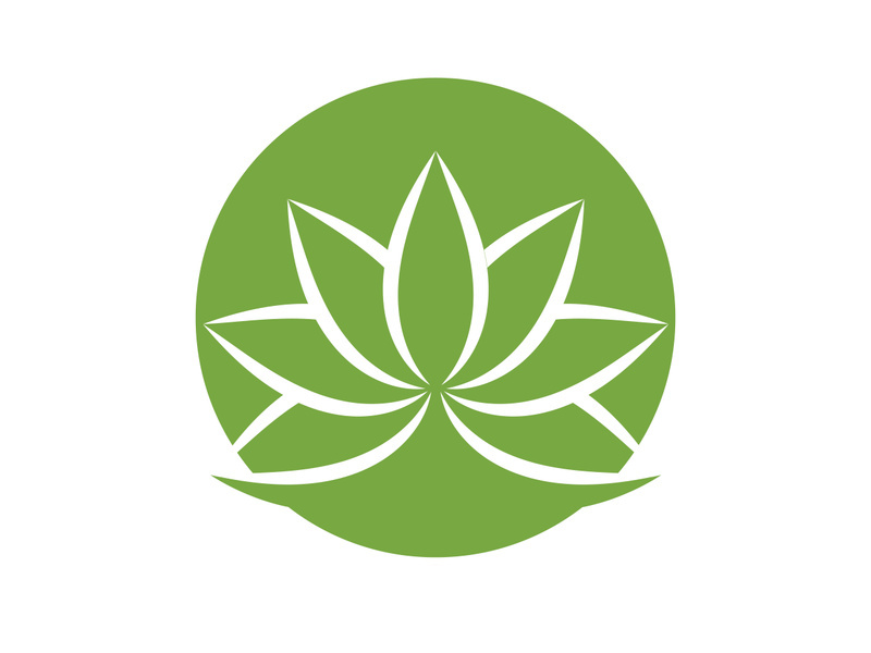 Vegan leaf green eco logo nature