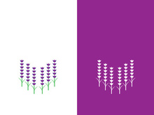 Fresh lavender flower logo vector flat design
