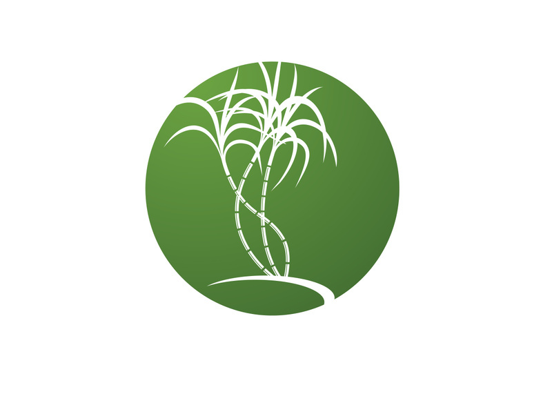Sugarcane logo vectcr