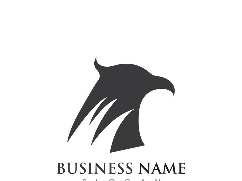 Falcon Eagle bird Logo Template vector illustration design