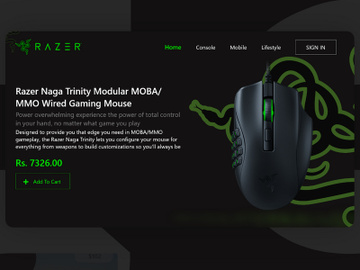 RAZER Landing Page Design preview picture