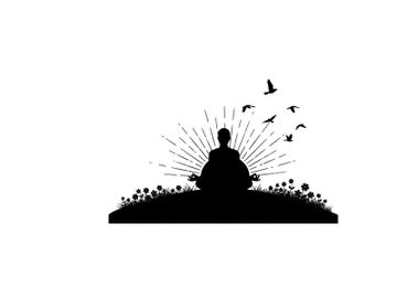 Serene silhouette of a person meditating in nature with birds flying free preview picture