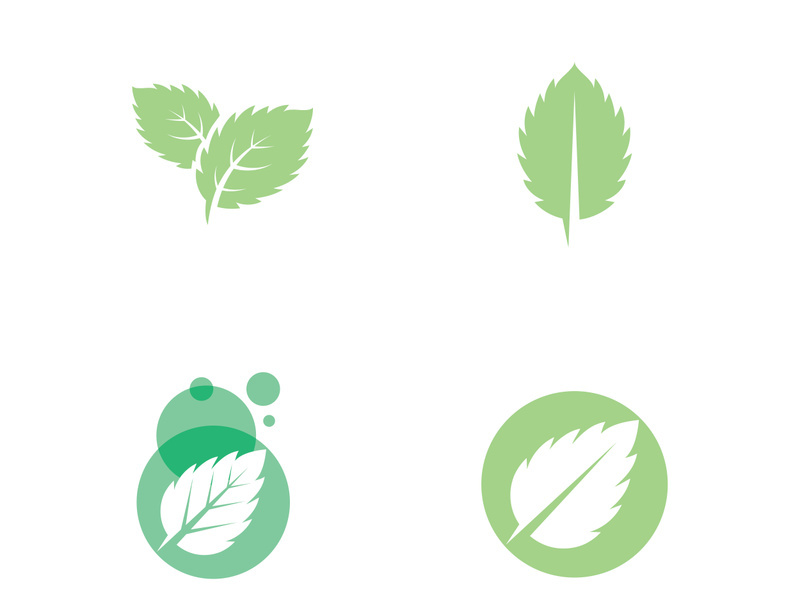 Mint Leaf icon template illustration